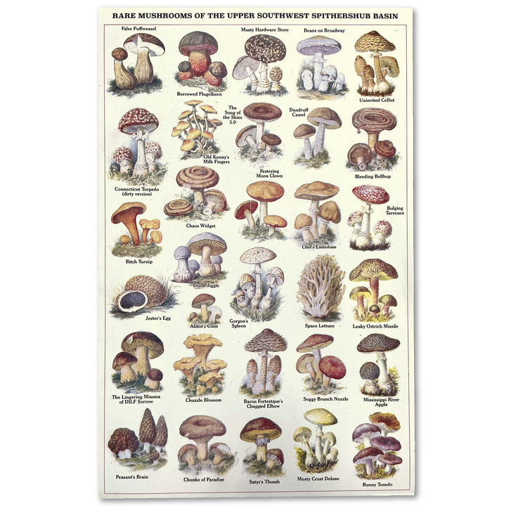 Arcane Bullshit Risograph Poster Rare Mushrooms