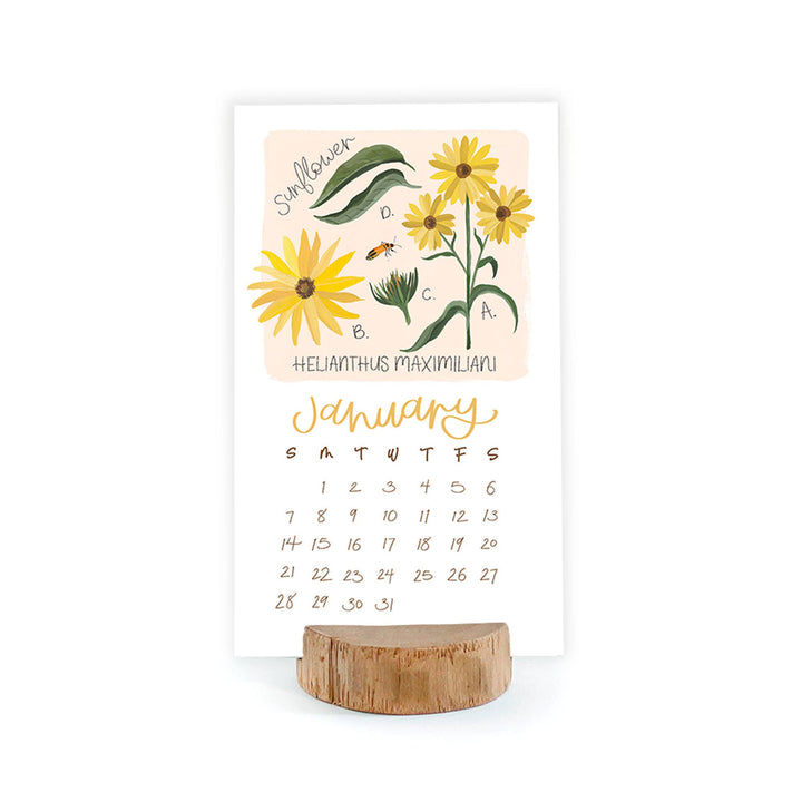 2024 Stump Calendar - Wildflower Botanicals