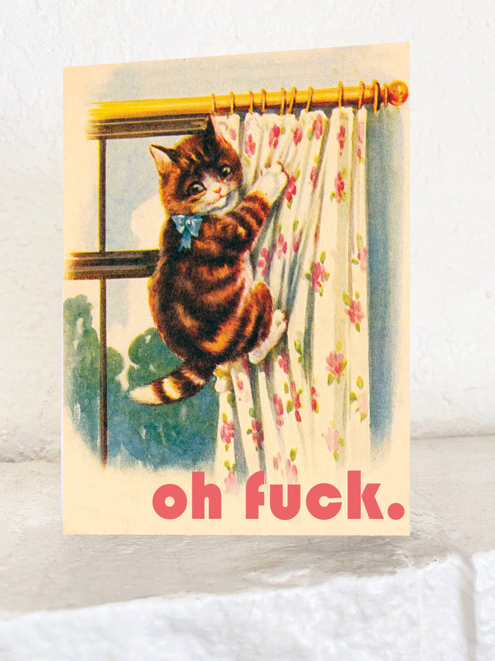 Coin Laundry Everyday Card Graduation New Cat