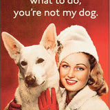Magnet: You can't tell me what to do, you're not my dog.