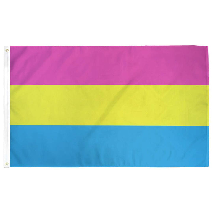 Pansexual (Pan) Pride Flag - Large