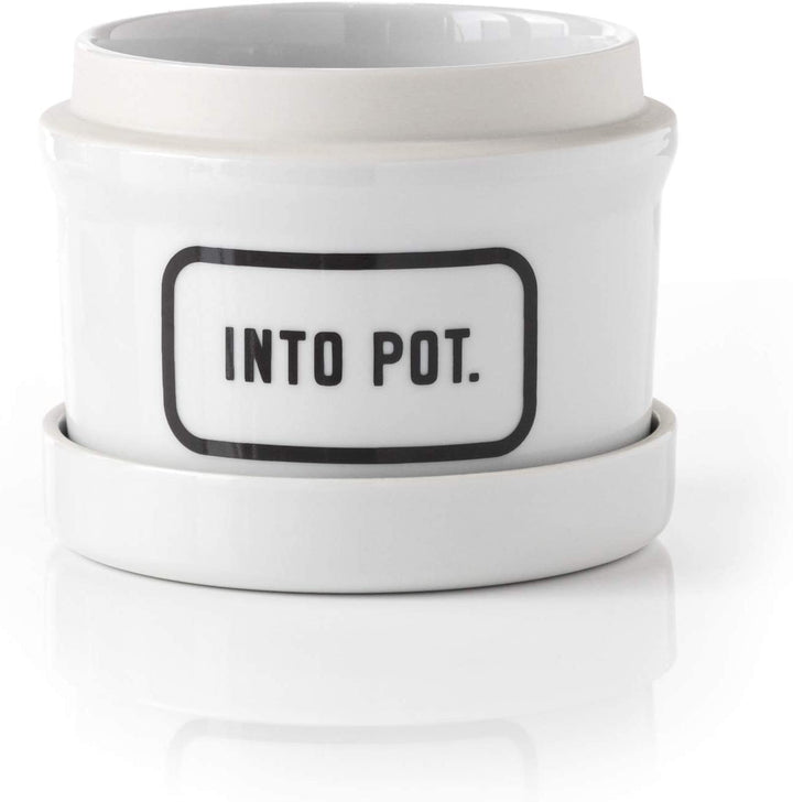 Into Pot Planter