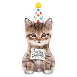 Cue The Catfetti Foil Balloon