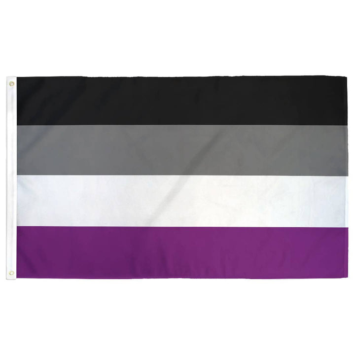 Asexual (Ace) Pride Flag - Large