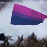 Bisexual Pride Flag - Medium