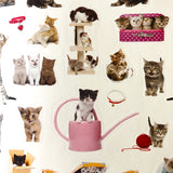 400 Reusable Kitten Stickers!