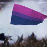 Bisexual Pride Flag - Large