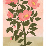 Harmony Tarot