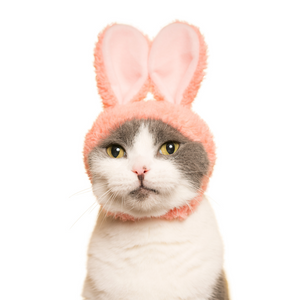 Cat Hat - Rabbit