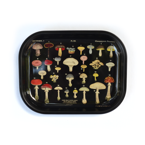 Small Metal Vintage Mushroom/Fungi Ritual Tray