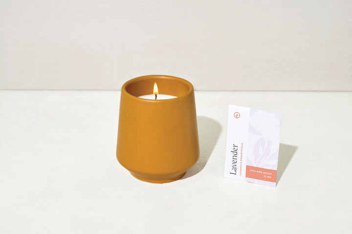 Rooted Candle Lavender & Neroli