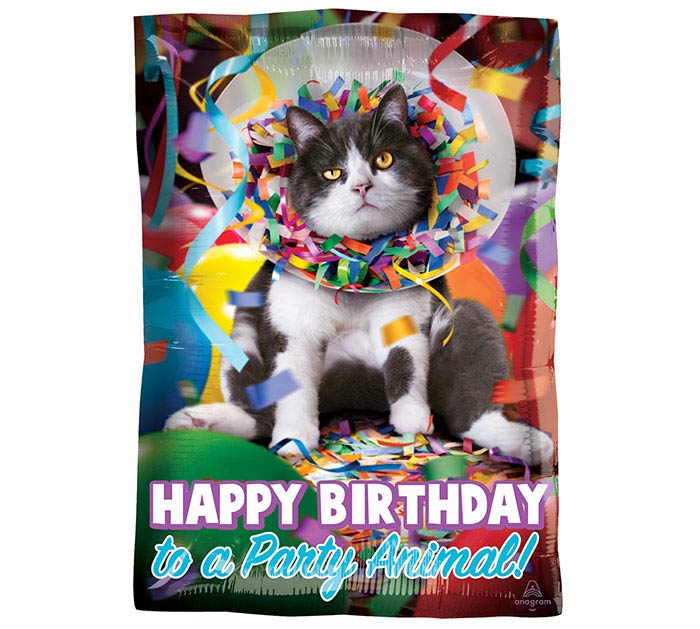 Happy Birthday to a Party Animal Cat Balloon
